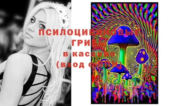 МДМА Алексеевка