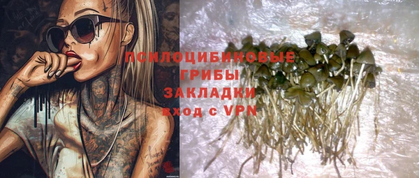 ALPHA PVP Алексин