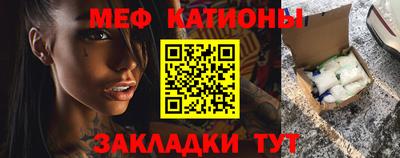 шишки Славгород