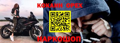 шишки Славгород