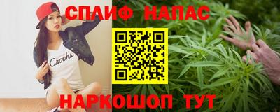 шишки Славгород