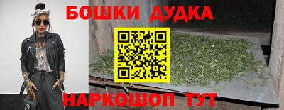 шишки Славгород