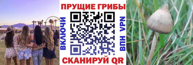 Галлюциногенные грибы Magic Shrooms  Октябрьский 